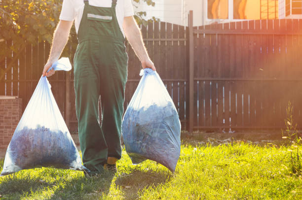 Best Electronics and E-Waste Disposal  in Dillon, SC
